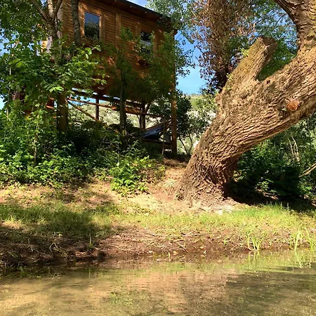 Delightful Treehouse W Private