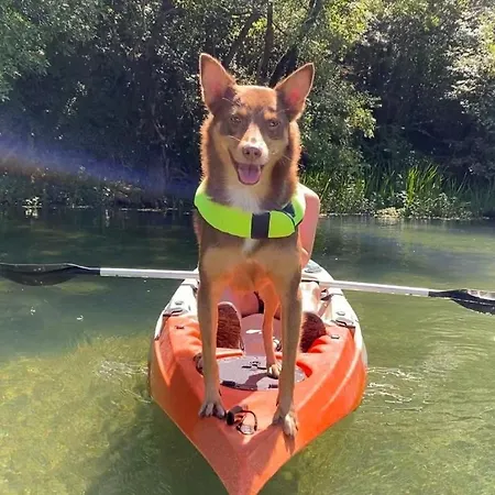Luksusowy namiot Delightful Treehouse W Private *