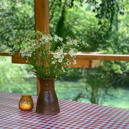 Delightful Treehouse W Private