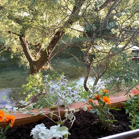 Delightful Treehouse W Private