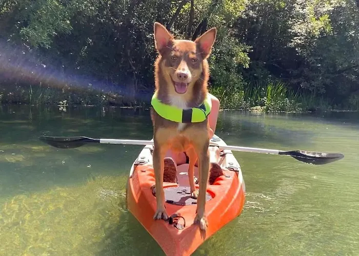 Luxussátor Delightful Treehouse W Private *